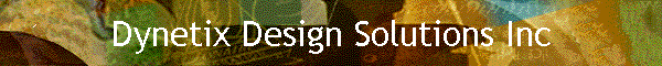 Dynetix Design Solutions Inc