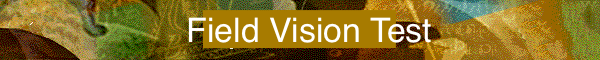 FieldVisionTest